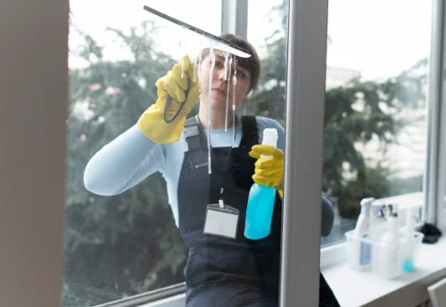 Nettoyage de vitres intérieures et extérieures à Maël-Carhaix